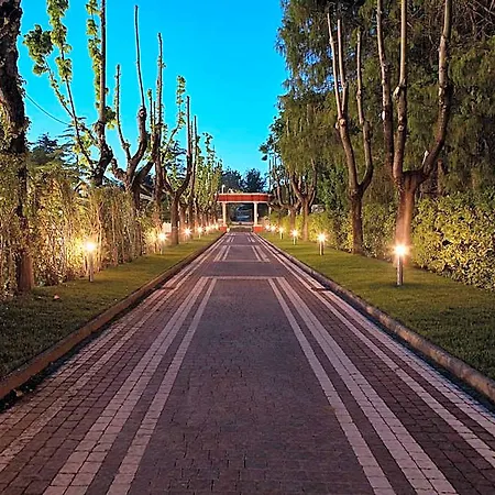 Hotel Niccolo' V - Terme Dei Papi 4*